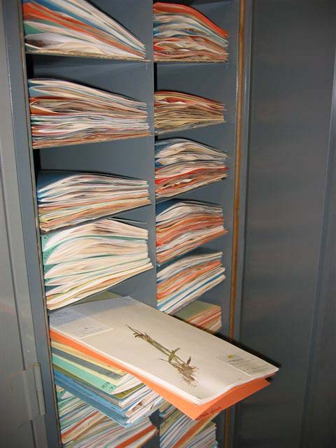 Herbarium Cabinet with Sheets